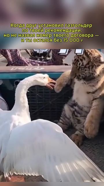 Программа «Приведи друга» и получи до 15 000 ₽