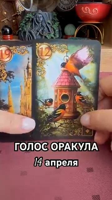 14 апреля голос оракула