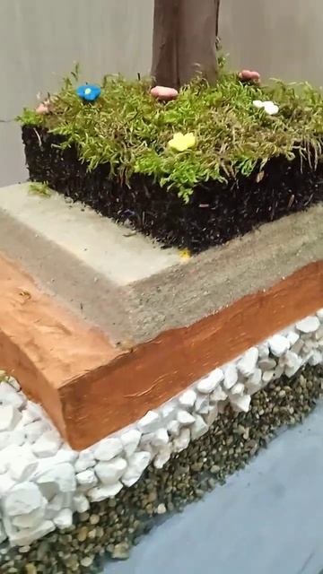 Макет почвы в разрезе. Поделка на урок окружающего мира