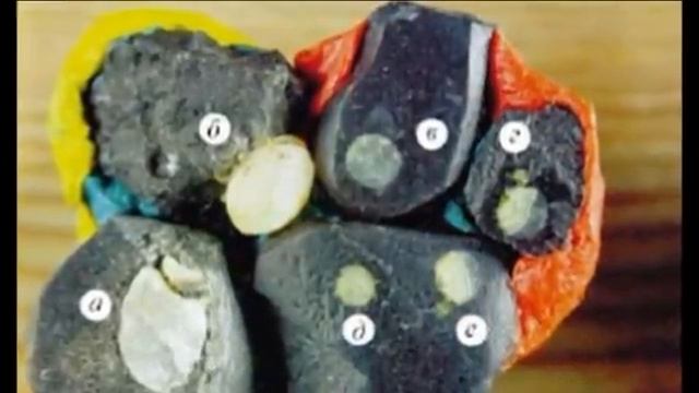 КРЕМНИЕВАЯ ФОРМА ЖИЗНИ.