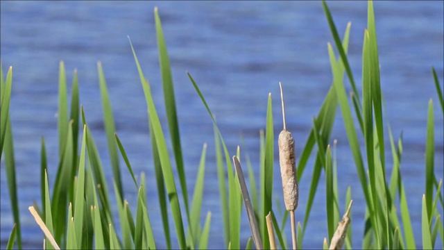 Наденете это 13 апреля - Ждите большой беды.