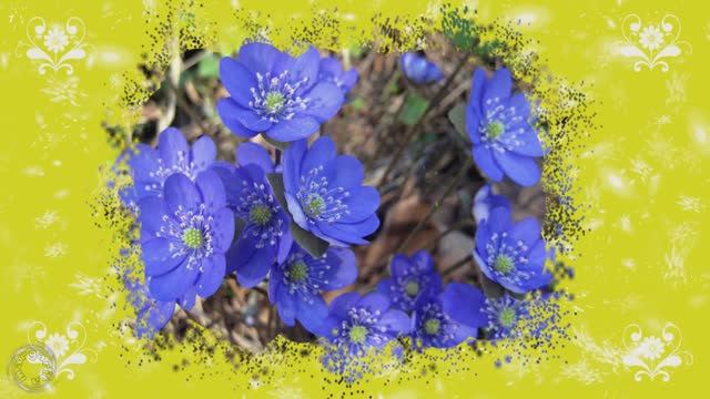 А в душе весна шепчет и улыбается