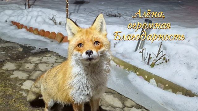 Ночная встреча.