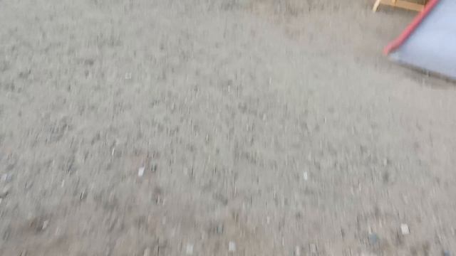 Гуляем с Васей Басей часть 1)))✨✨