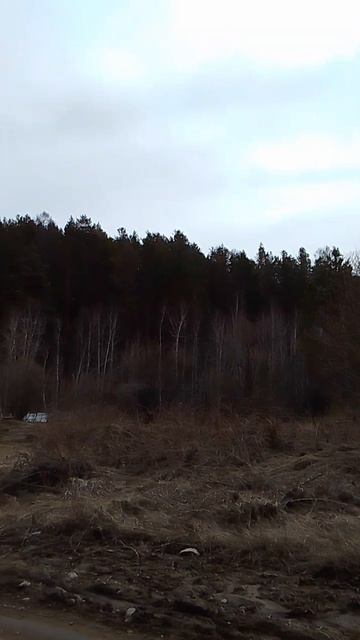 Весенние птицы щебечут