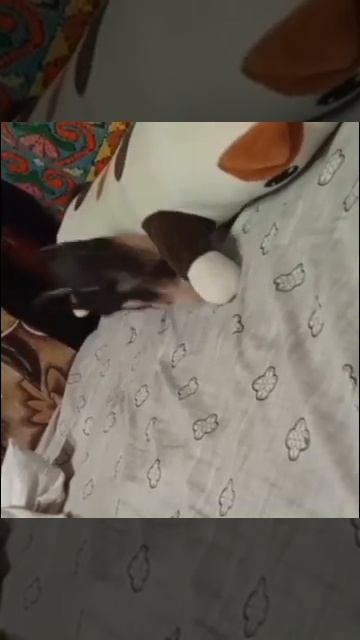 Наш мальчик уехал в новую семью