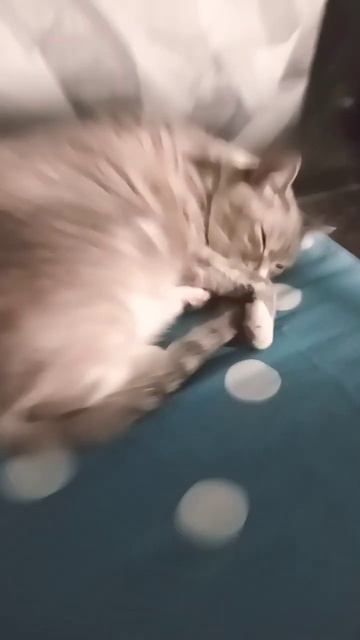 Оставь меня старушка я в печали юмор 13 апреля 2026 год