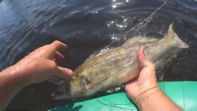 В КРУПНУЮ СЕТКУ НА ГЛУБИНЕ ПОЛЕЗЛИ СУДАКИ!60 ЯЧЕЯ ДЕСЯТЬ МЕТРОВ ГЛУБИНА!