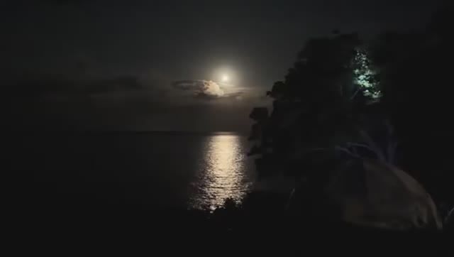 Беженец🇮🇩Бали. БЕЗУМНЫЙ КЭМПИНГ ВОЗЛЕ VIRGIN BEACH. ПОЛНОЛУНИЕ, ЗЕФИРКИ И КОСТЕР. КРУТАЯ ТАЧКА BYD