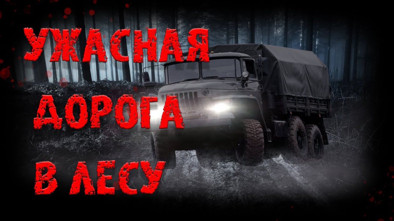 Ужасная дорога в лесу. Страшные истории на ночь. Мистика. Страшилки на ночь.