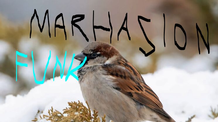 песня - здравствуй февральный воробей фонк MARHASION оригинал
