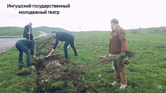 10.04.2026г. Сотрудники Ингушского Молодежного театра присоединились к озеленению нашей Республики..