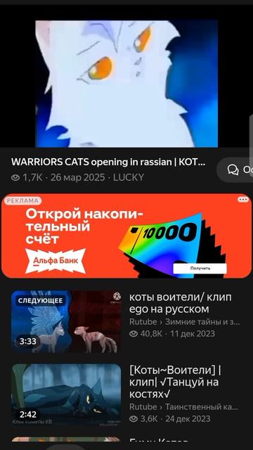 Гимн котов воителей на русском простите что не оборезала