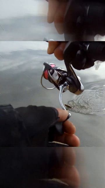 РЫБАЛКА ПЕРЕД ПАВОДКОМ  #рыбалка #fishing #norstream