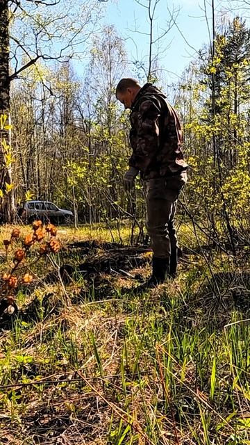 Хороший сигнал!