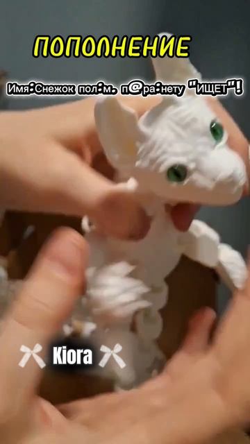 ВНИМАНИЕ ПОПОЛНЕНИЕ 