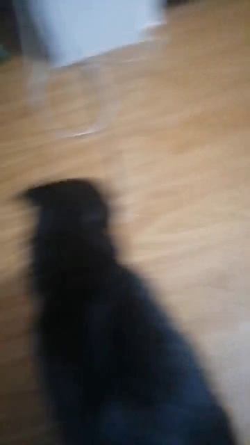 Такая вся Долче Габана