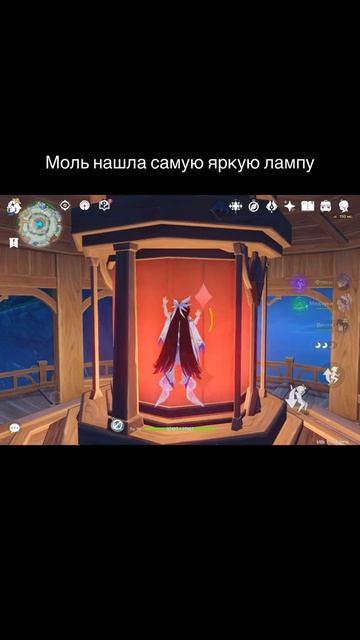 (ГЕНШИН) клумба