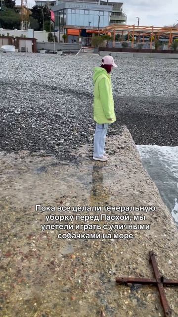 Собачки в Адлере