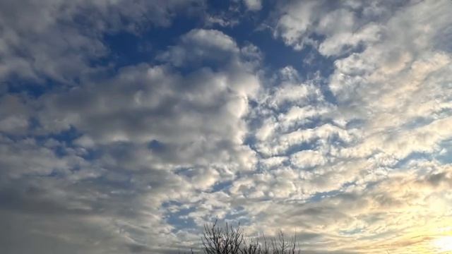 На душе становится тепло от такой красоты!