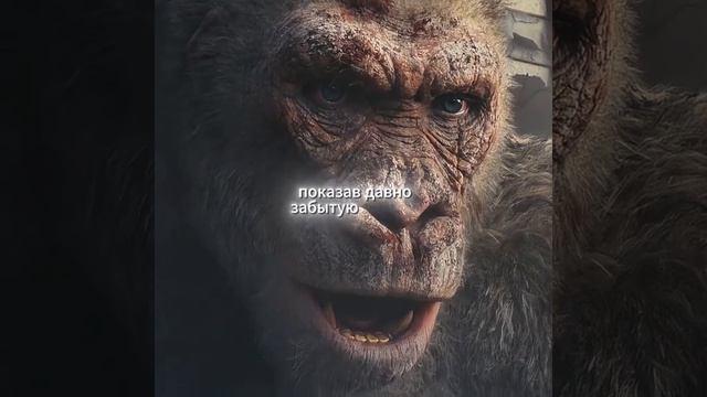 фильм на вечер