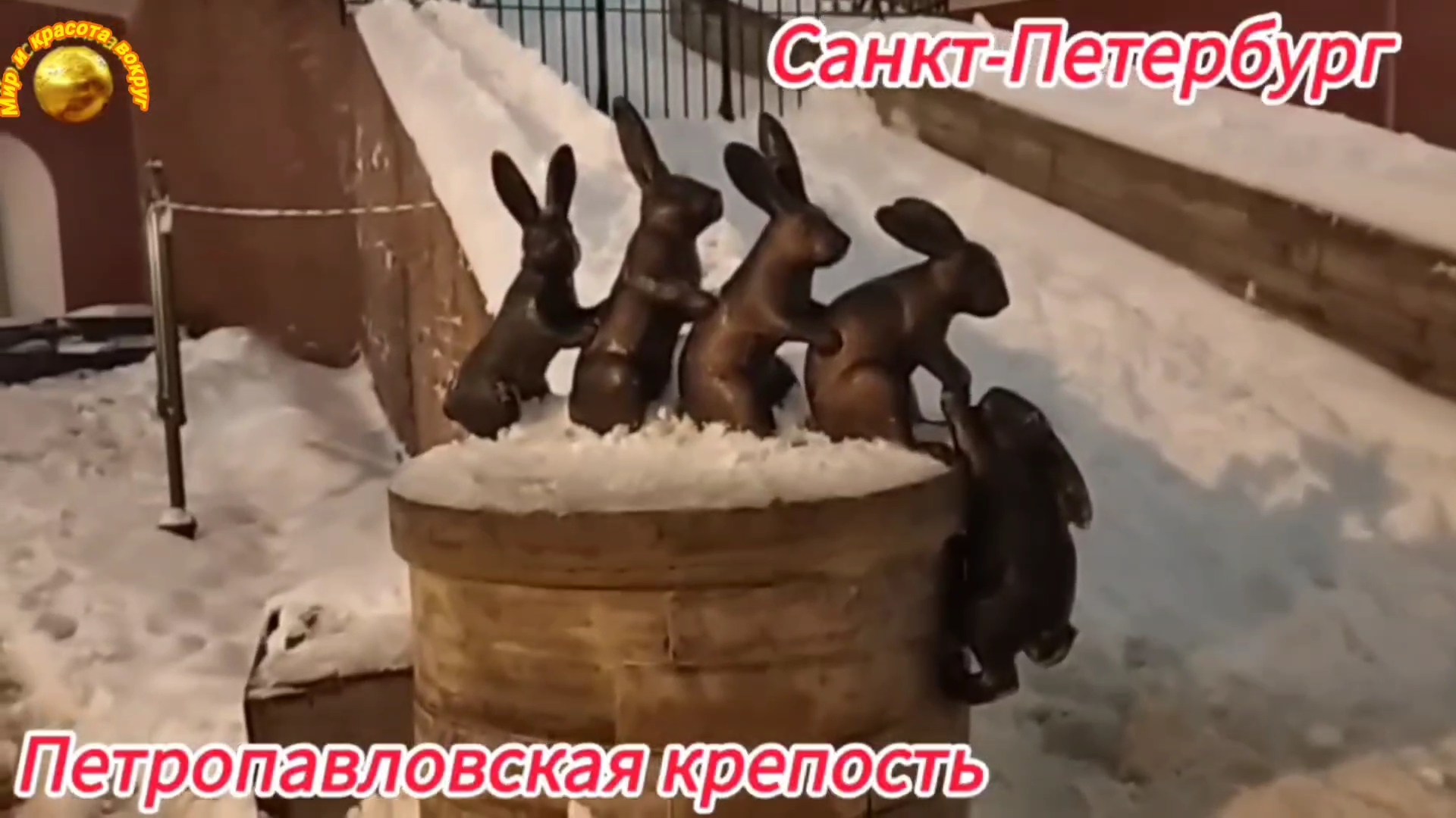 Новогоднее очарование Петропавловской крепости. Санкт-Петербург🤩💥