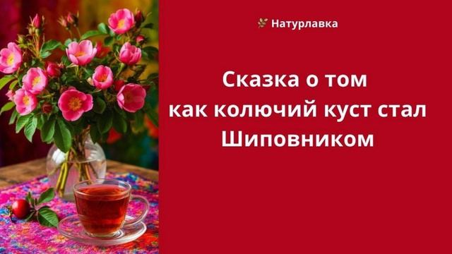 Сказка о том, как колючий куст стал Шиповником.