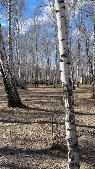 Хороших выходных!