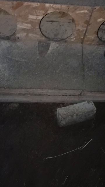 наша первая клушка