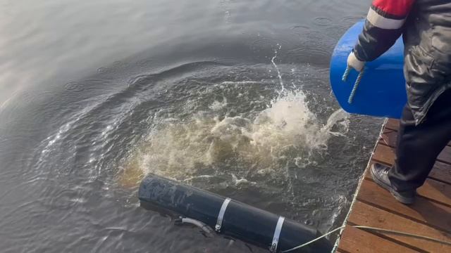 Copy_E542536C-CB0C-4BA1-B6B6-661F6D35C61C