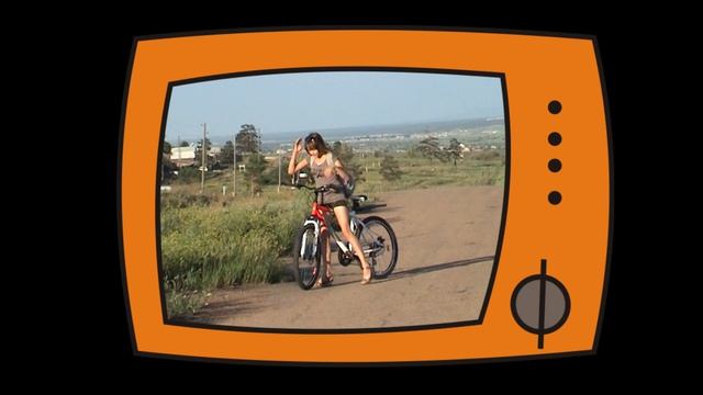 Как легко дрессировать кота