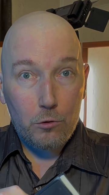 Глава или лидер партии?