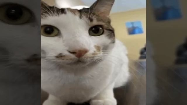 очень громко