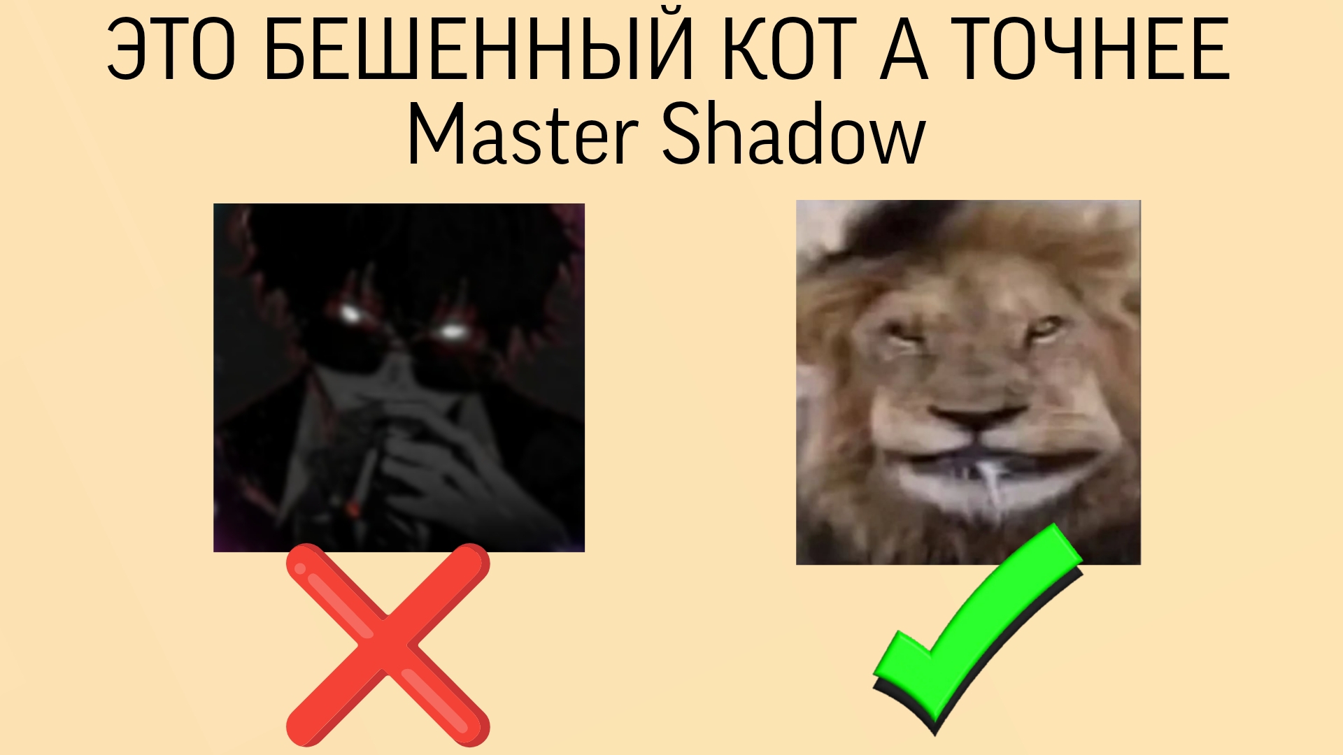 РАЗОБЛАЧЕНИЕ БЕШЕНОГО КОТА ? ВТОРАЯ ЧАСТЬ ПРСЛЕДНЯЯ