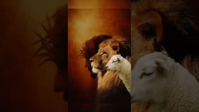 13.04.26.Молитва Благословения 🌿☀️🩸🪷💎🪔👑🪽✝️🕊️❤️🔥🌏⚡📯🔥🌾🦅🪔💎