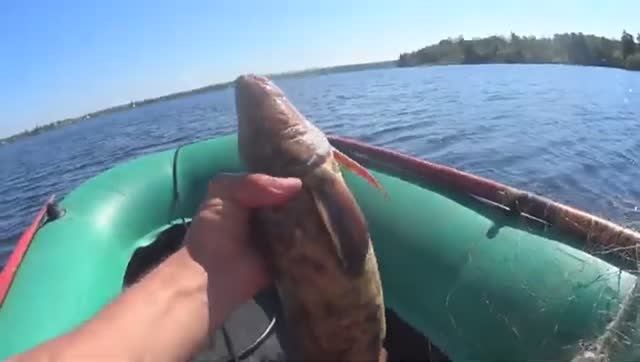 ПОШЛИ ЛЕЩИ И НАЛИМЫ!В СЕТКУ НА ГЛУБИНЕ 60 ЯЧЕЯ!