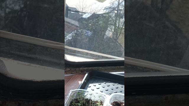 Строительный мусоровоз с огромными щупальцами.