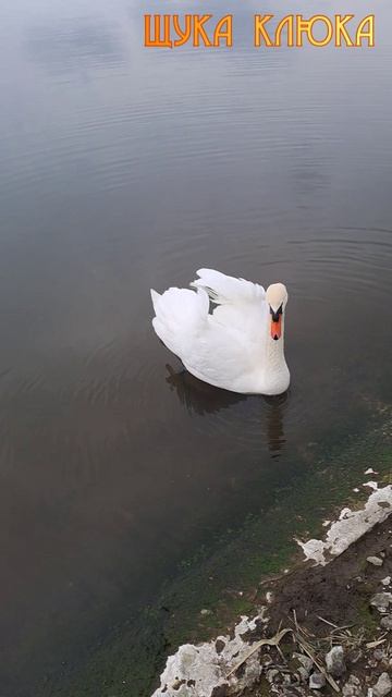 Ad5708577827bf46e5499e1ed08588e3