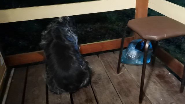 СОЧИ ГОРНОЕ ЛОО УТРО 13.04.2026