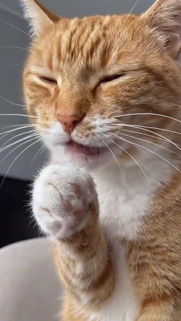 Спешить некуда.  Мир подождёт