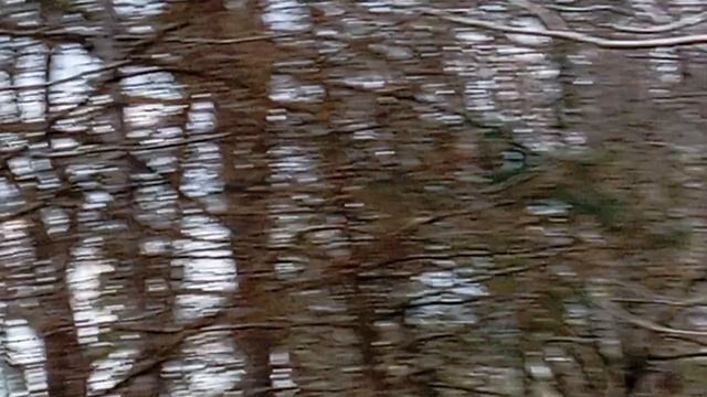 D81256f6c891a80fe9e44e42894ff01e