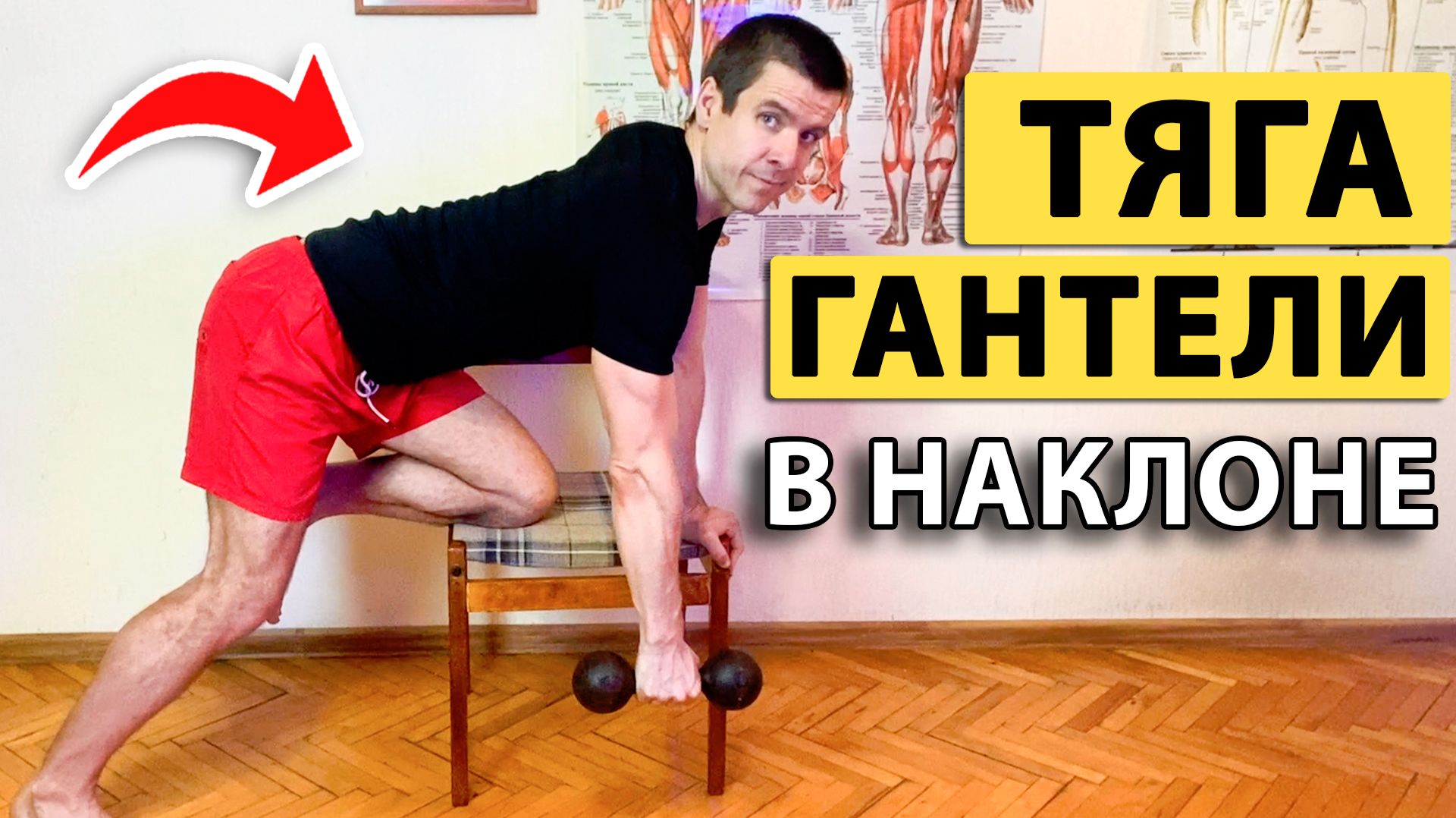 ❤️ Упражнение на спину тяга гантели к поясу в наклоне ✅ Техника с упором одной рукой от Лопеса