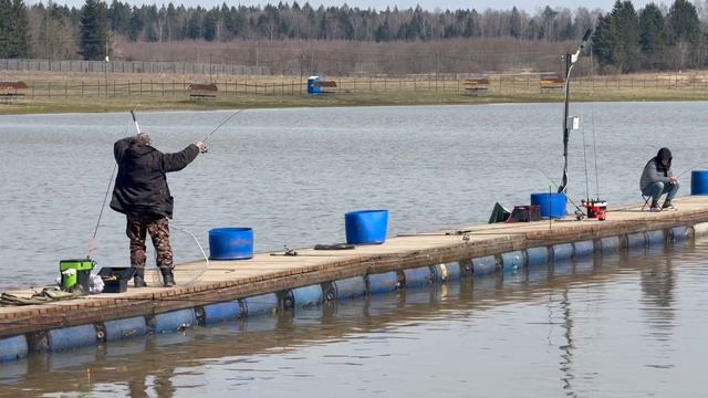 Поимки форели !!!