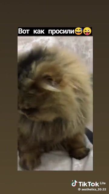 63dbf1dbb8479858c32a8cad88a83eec_1774693212039.mp4