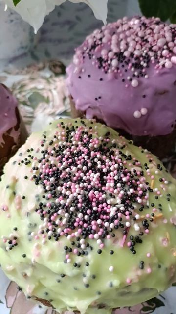 🐇🐇🐇🐇🐇🌸🌿