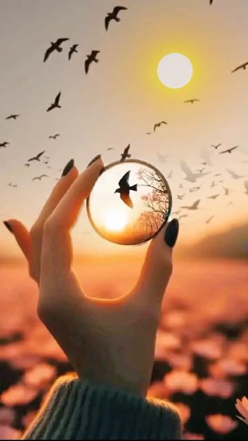 Я с каждым днём  всё больше жизнь ценю, Ведь с каждым днём она,  увы, короче.