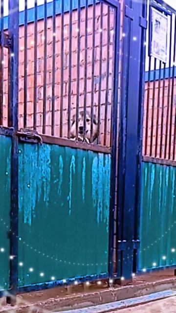 056fabada06be817fe08d53c33dc5a20