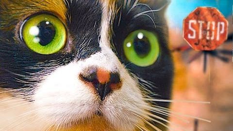 SlivkiShow в ЧЕРНОБЫЛЕ! [часть вторая]