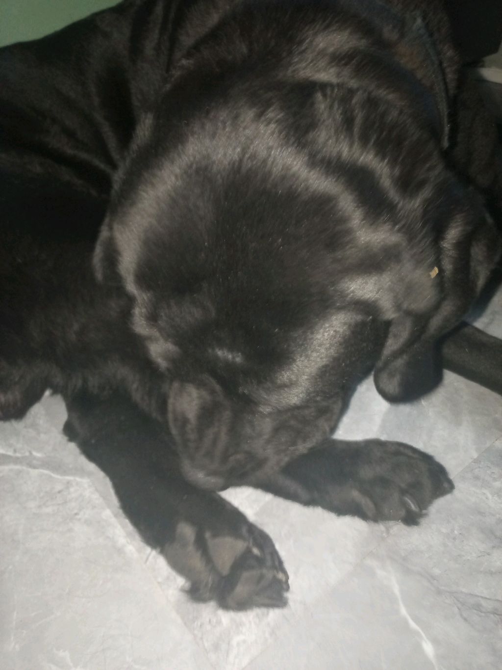 8ba3ce222c0f541bbf59290a23aed9b3