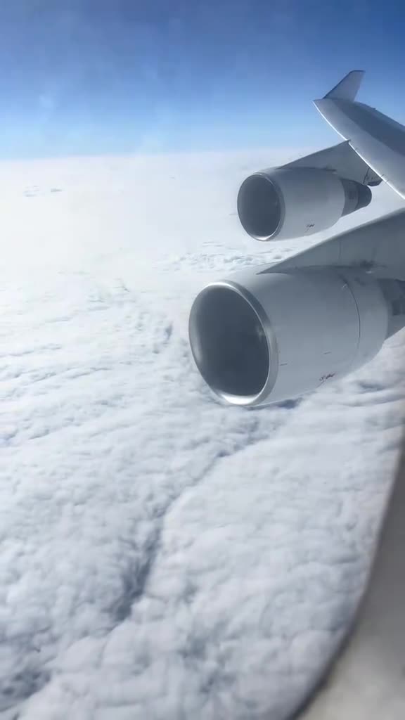 Даже коровки летают, а ты нет